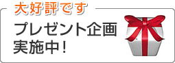 プレゼント企画