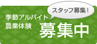 スタッフ募集中