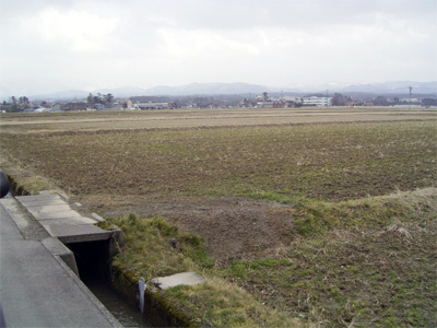 2月の田んぼ