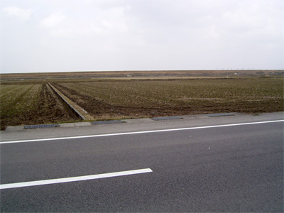 堤防を望む