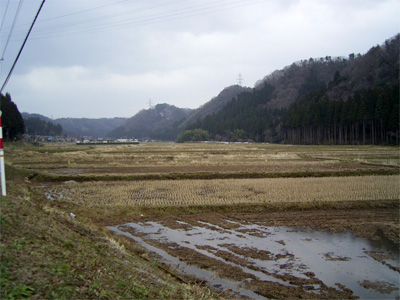2月の田んぼ