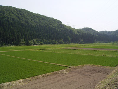 なべたに
