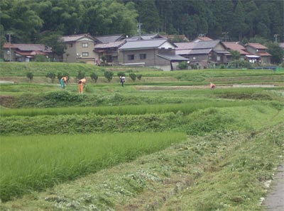鍋谷7月12日