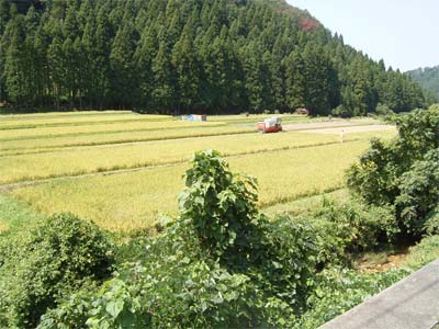 鍋谷9月