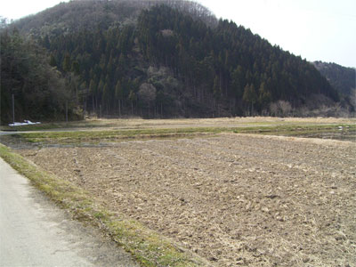 和佐谷 田んぼ