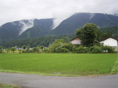 和佐谷