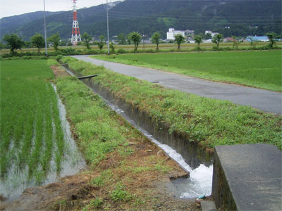 和佐谷